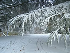 Winter auf dem Lousberg